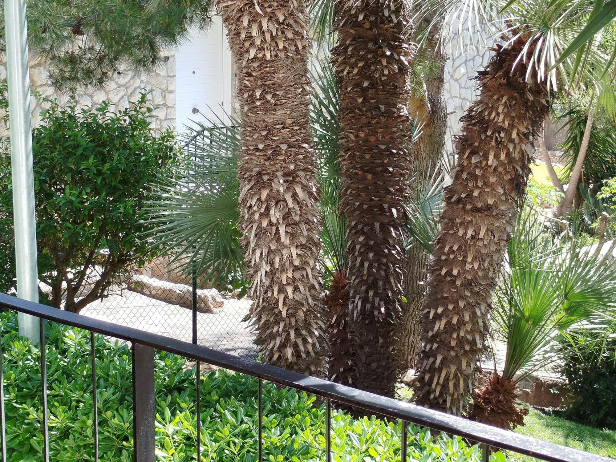 Brisa Del Mar Appartement Salou Buitenkant foto